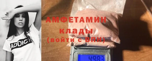 прущие грибы Богородицк